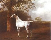 Agasse, Jacques-Laurent White Horse in Pasture painting